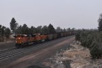 BNSF 8422/9746